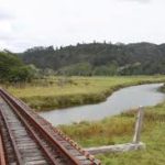 Taumarere Rail Trail